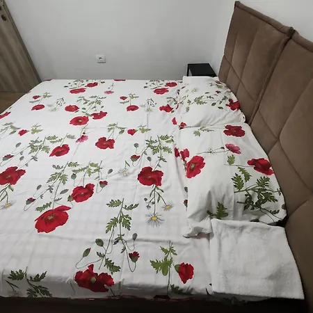Lina Apartament *
